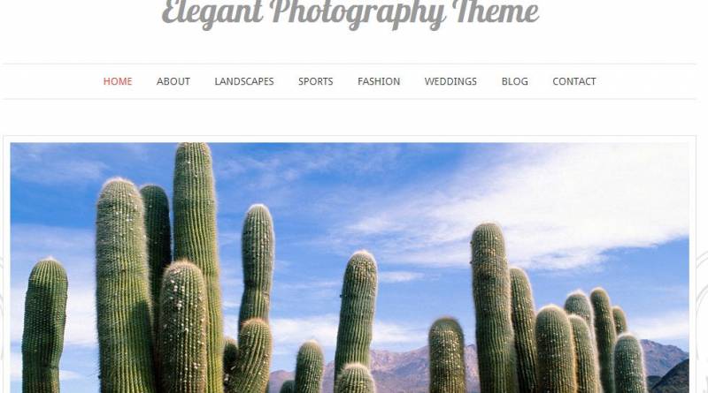 Free WordPress Photography Themes